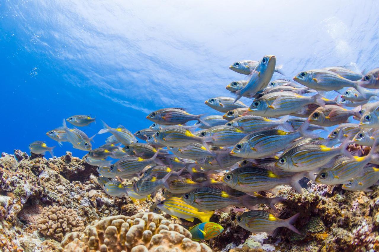 Ecot Shimozato 1 Aparthotel Miyakojima  Bagian luar foto