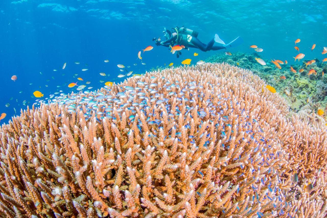 Ecot Shimozato 1 Aparthotel Miyakojima  Bagian luar foto
